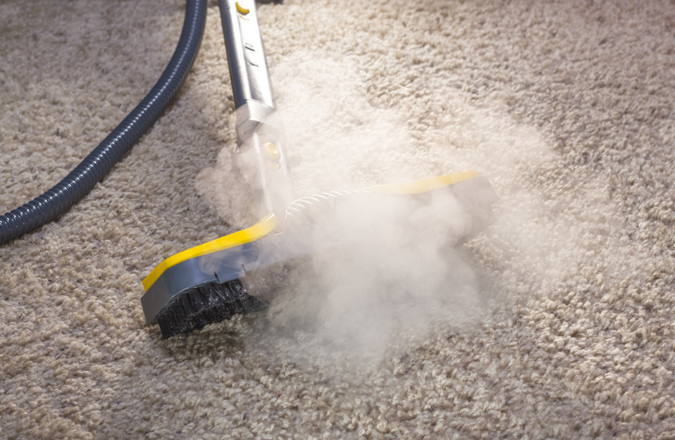 photodune-6355628-dry-steam-cleaner-in-action-s